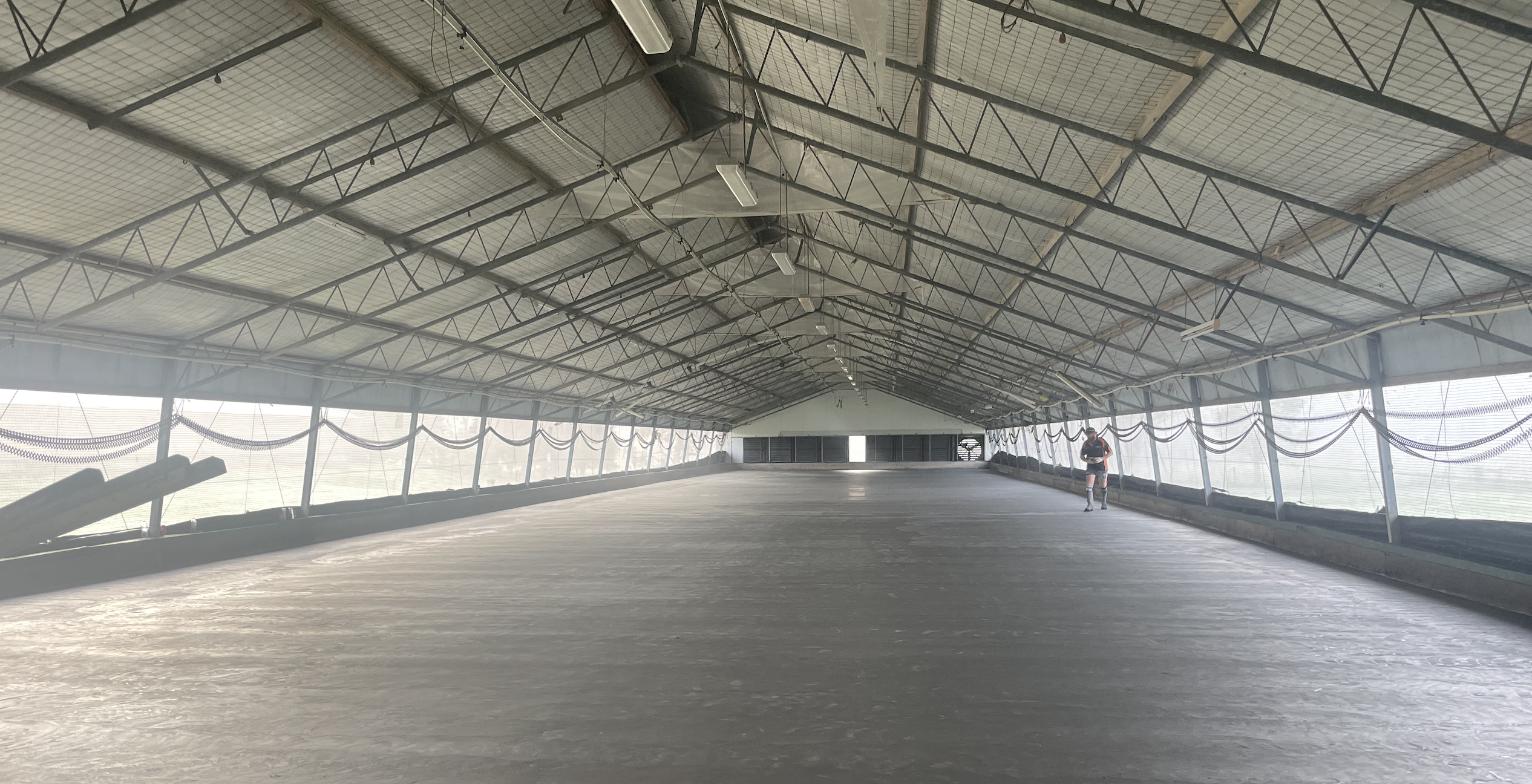 Poultry Shed after